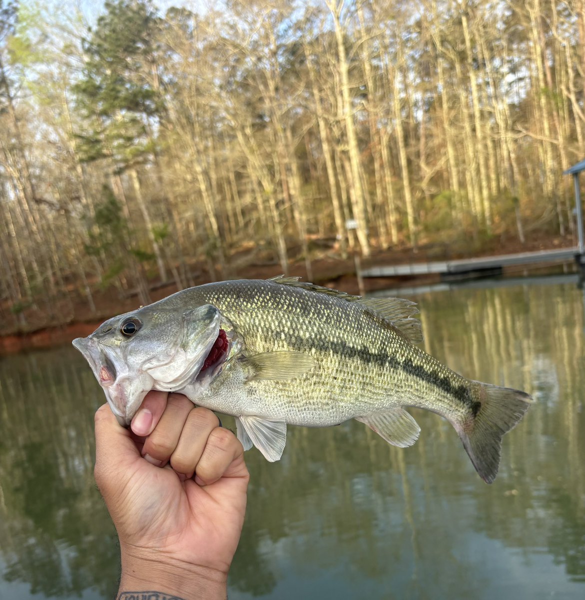 Damani Neal tweet media