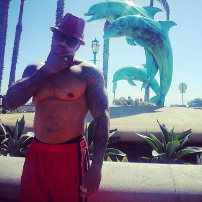 prettydickmcjoy's tweet photo. 🐬🐬 https://t.co/xfjIuPP5dK