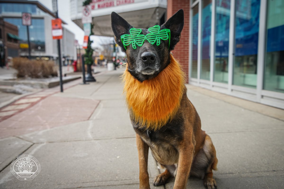 Fargo Police tweet media