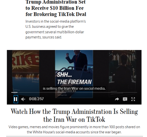 ⏳Towhee 🌏☮️ tweet media