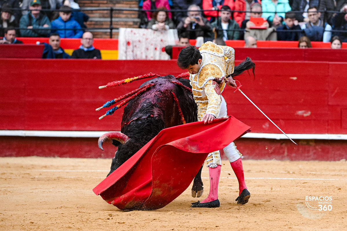 Plaza de Toros de Valencia tweet media