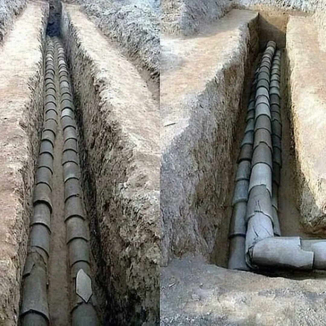 History Content tweet media