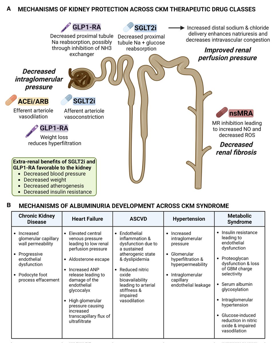 Dr sthanu subramanian tweet media