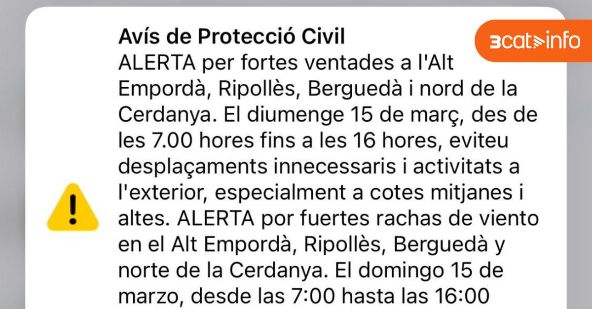 3CatInfo tweet media