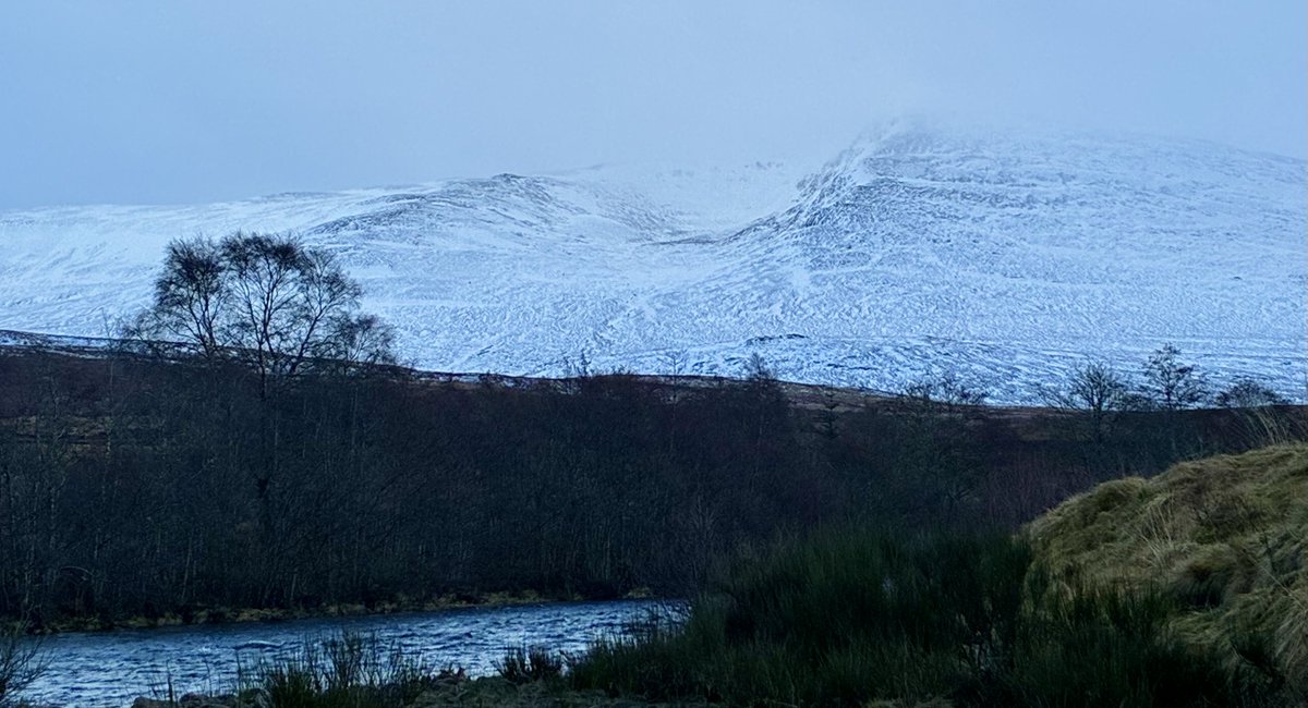 Muriel Gray tweet media