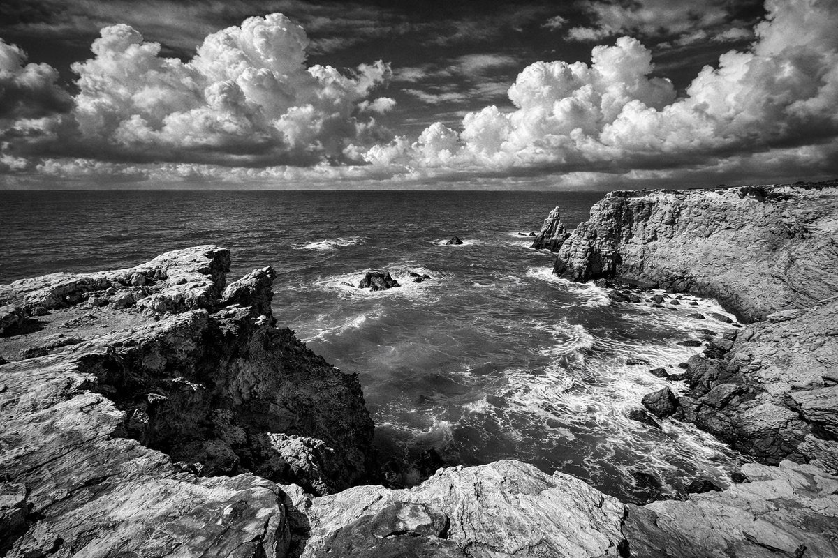 Rick Sammon tweet media