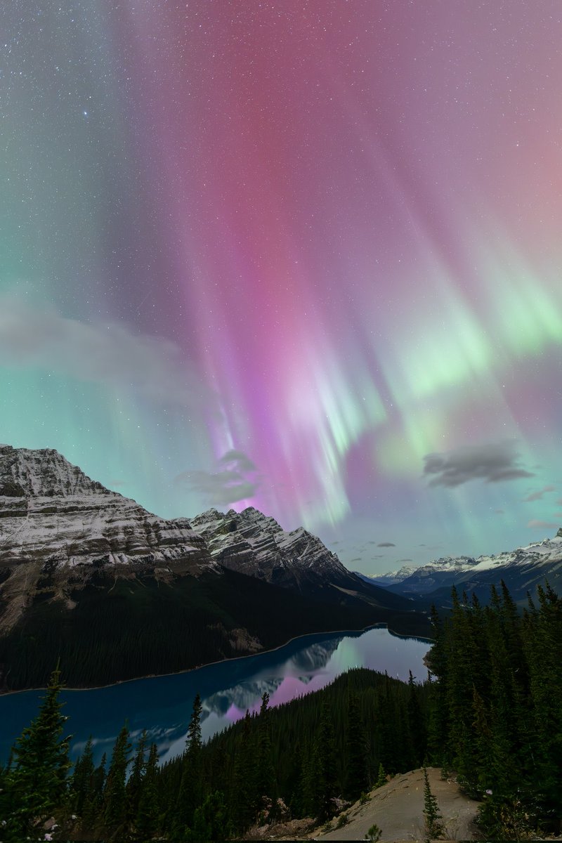 JacquesMagnan's tweet photo. @astropics Peyto Lake, Banff National Park https://t.co/xb2YmbsZmL