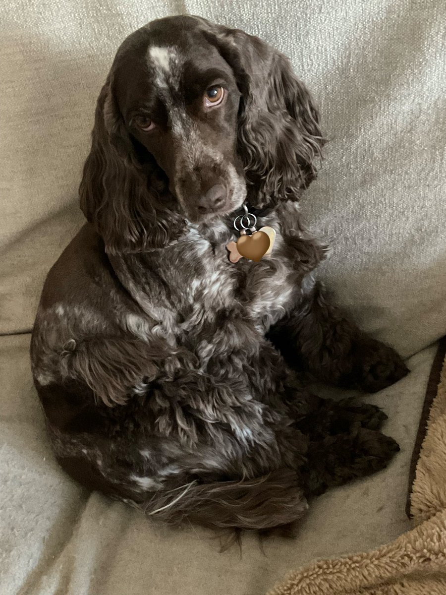 RosieandJane tweet media