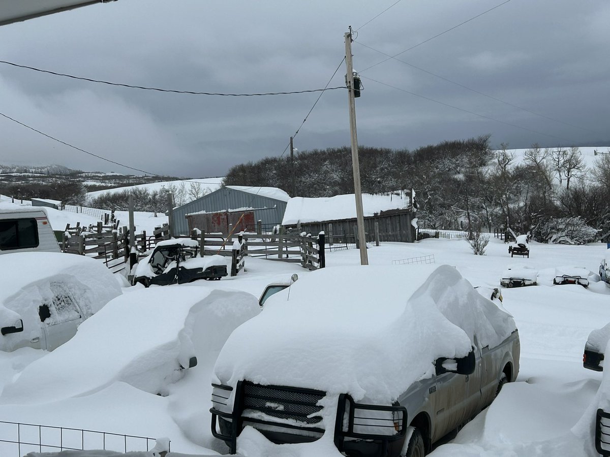 Jason Deffinbaugh tweet media