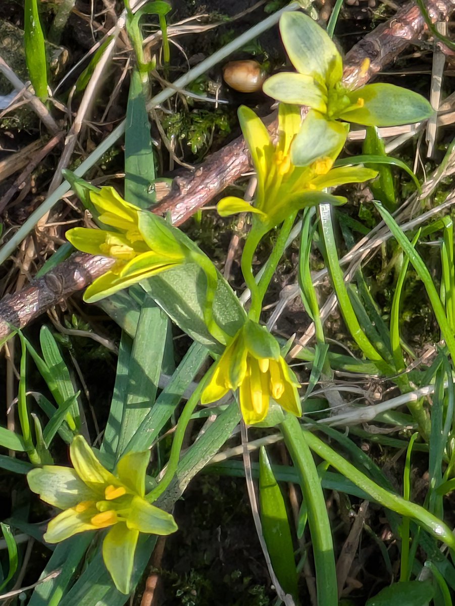 Pam McInnes tweet media