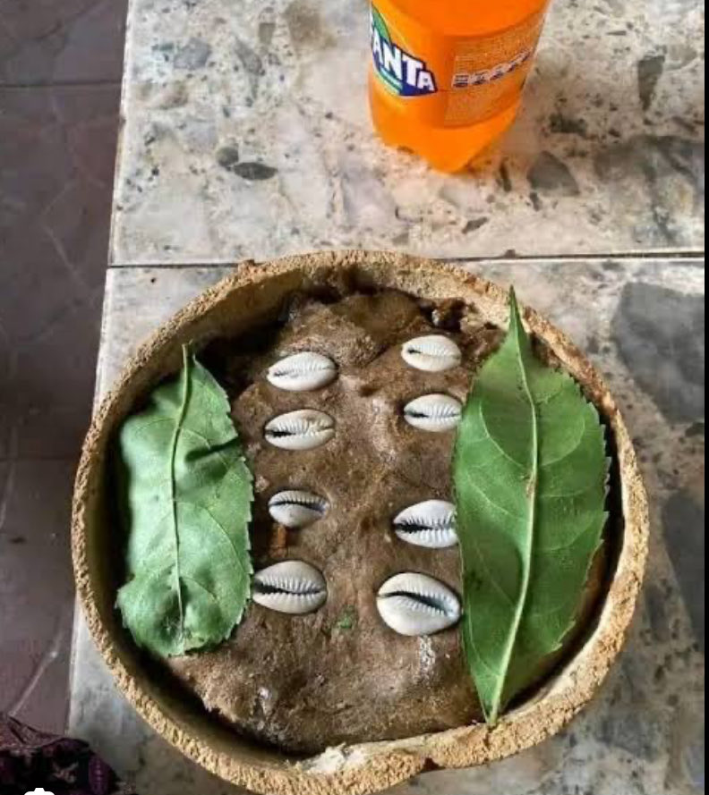 Snow-White tweet media