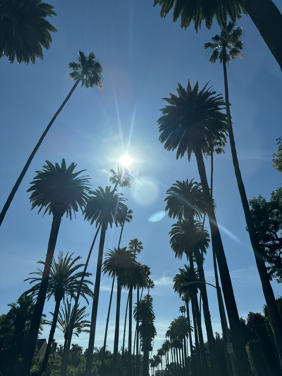 Rick Law tweet media