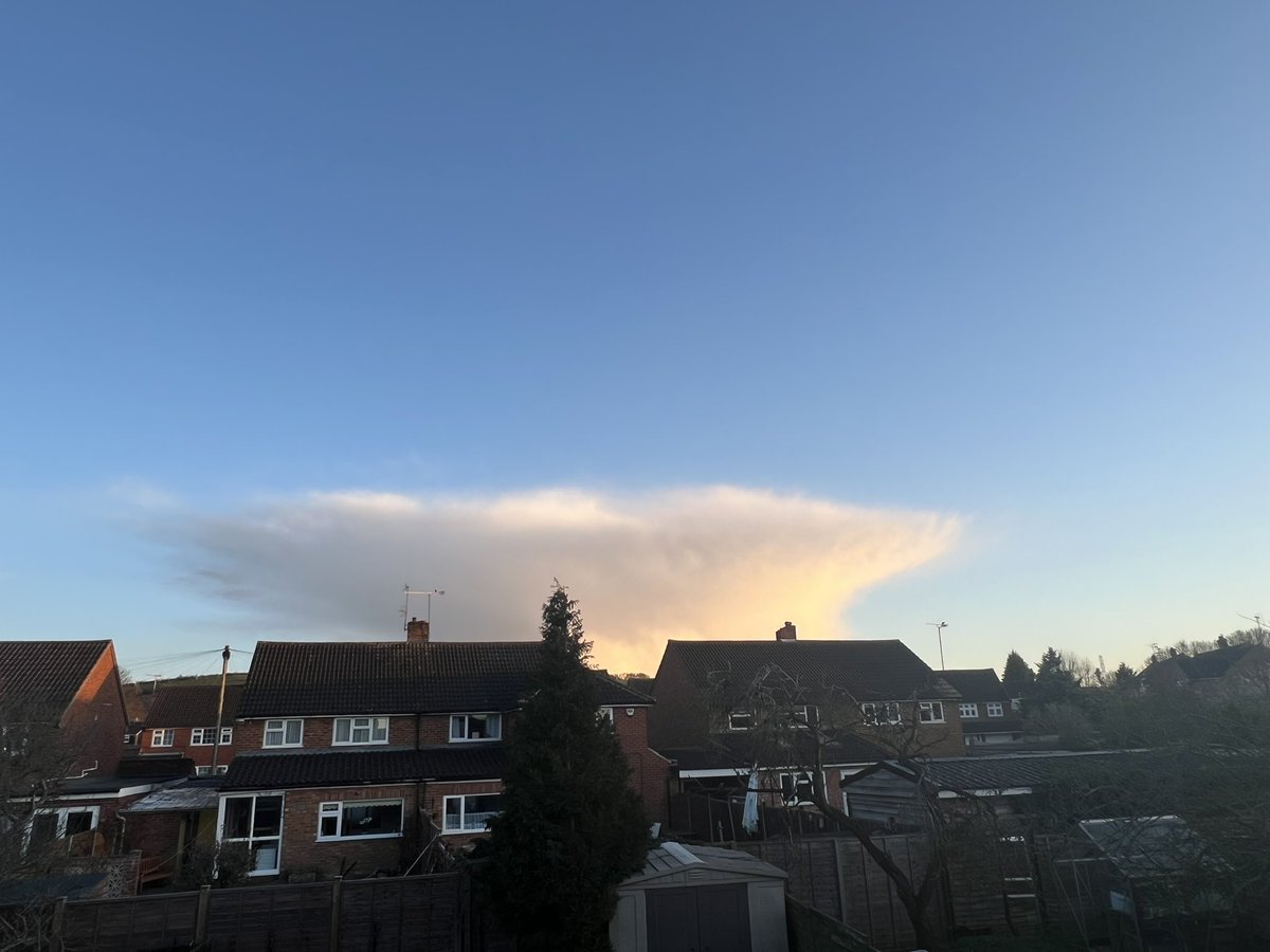 MyWeather tweet media