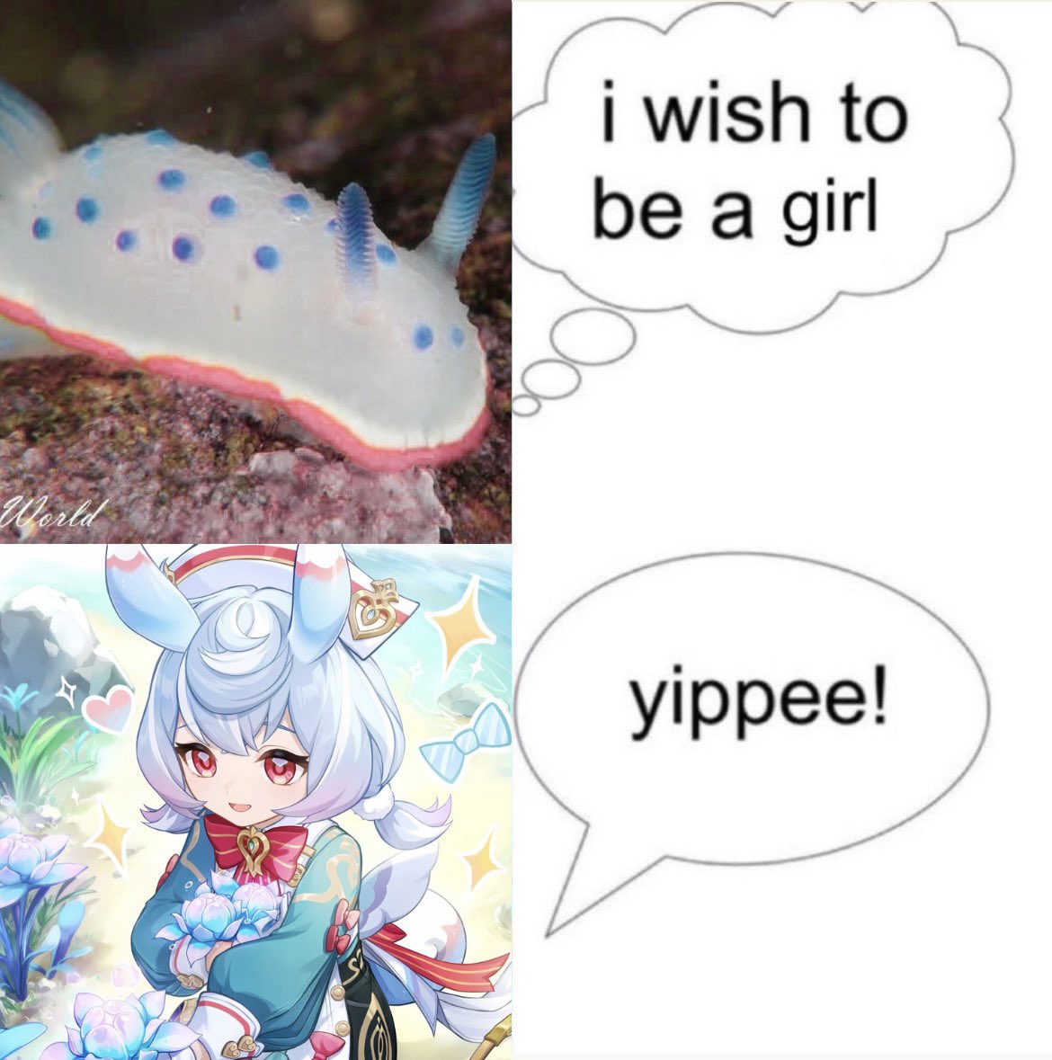 Edurinrin ᙏ̤̫ (@edurinrin_) on Twitter photo 