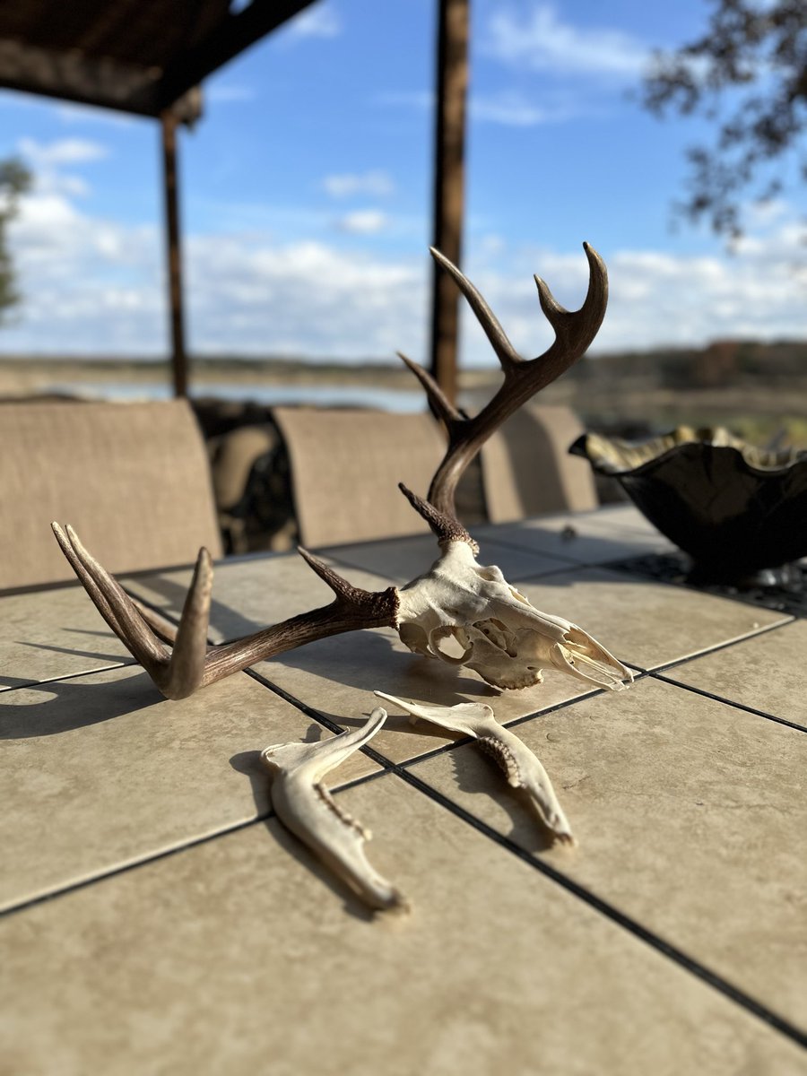 it’s just me (@bumknees23) on Twitter photo 