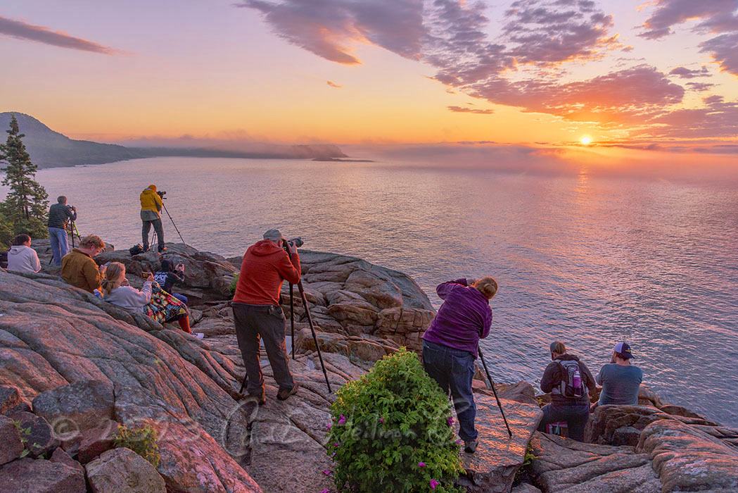 Carl Heilman II tweet media