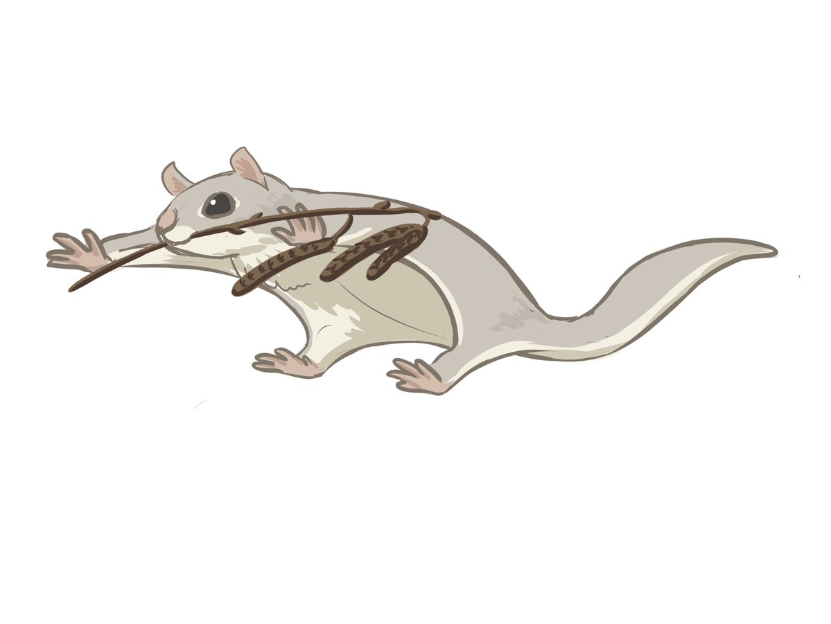 AsH3Draws tweet media