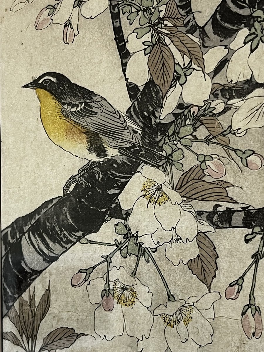 Victor M. Gutiérrez Sánchez tweet media