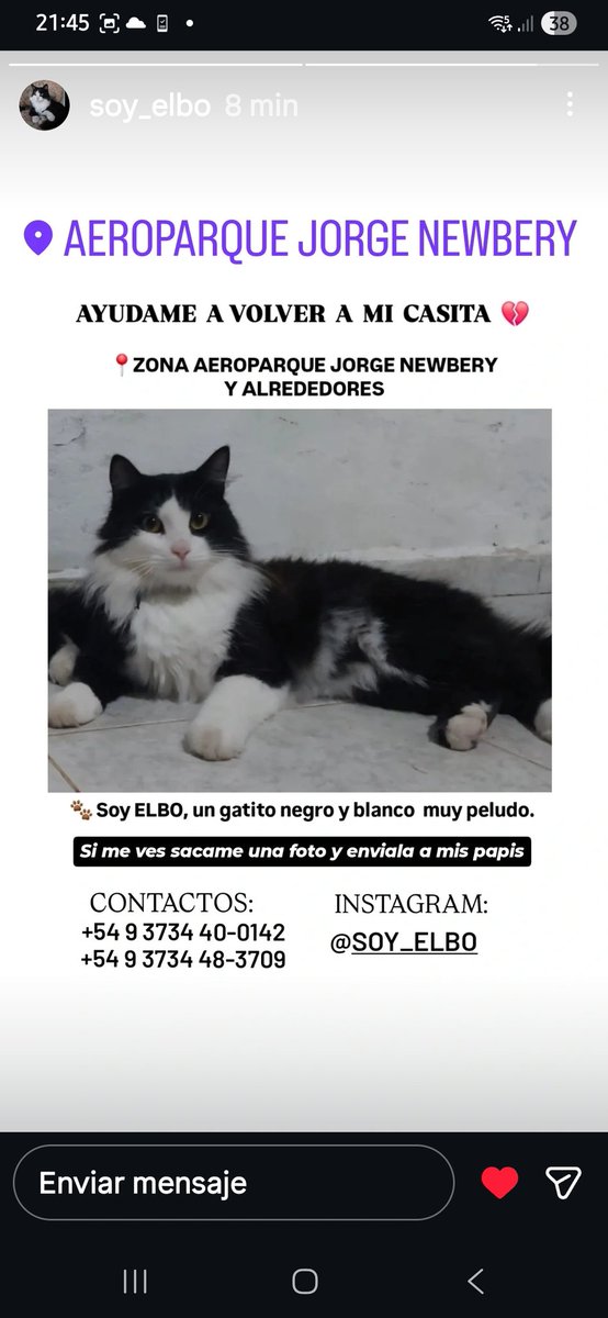 Alejandra tweet media