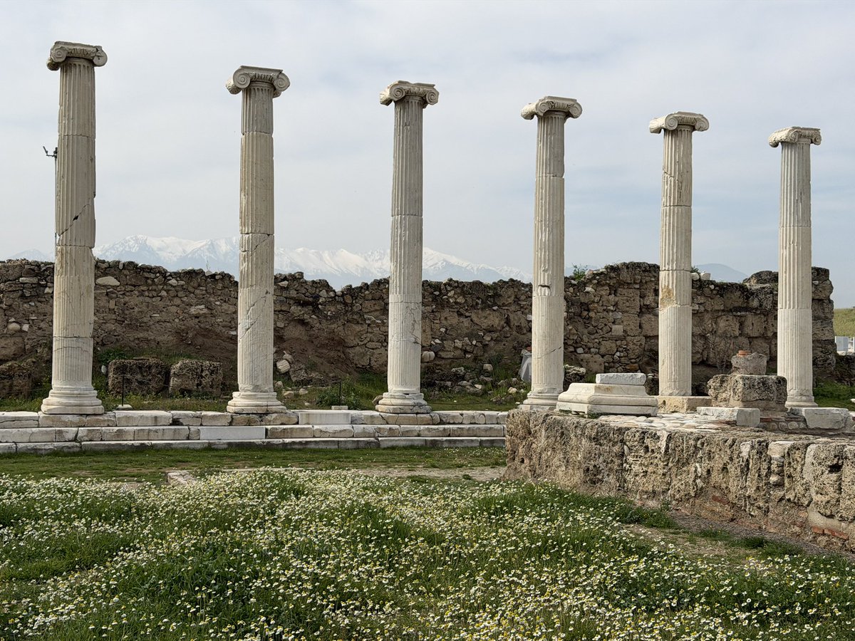 Celal Şimşek tweet media