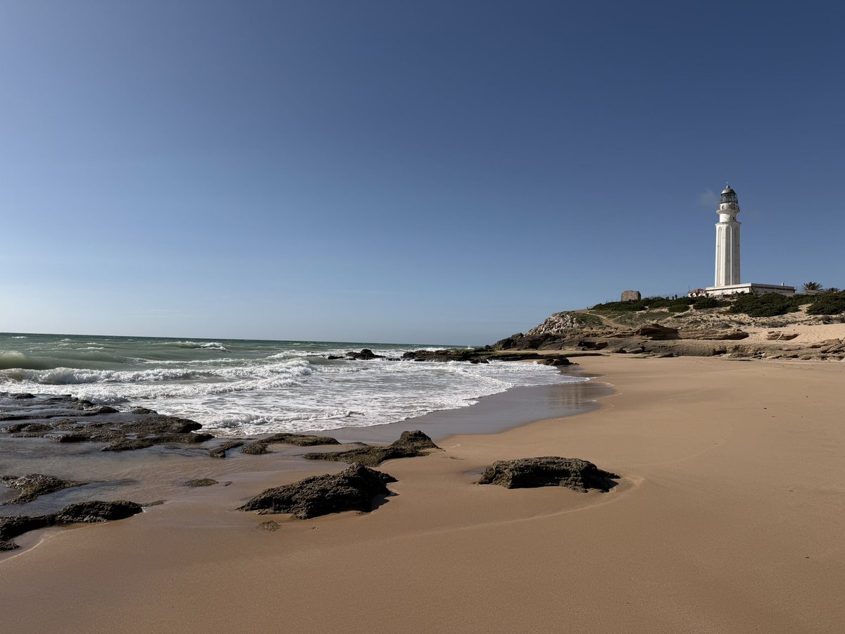 Tom Holland tweet media