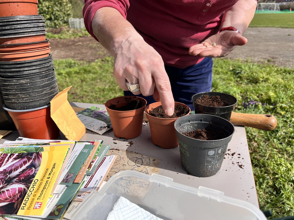 FFishponds's tweet photo. More clearing and the first seed planting at Fishponds today. As well as - best of all - friendly chats, coffee, cake and sunshine 🌞 @tootingnewsie #tooting #gardening https://t.co/sfNiSU9ktb