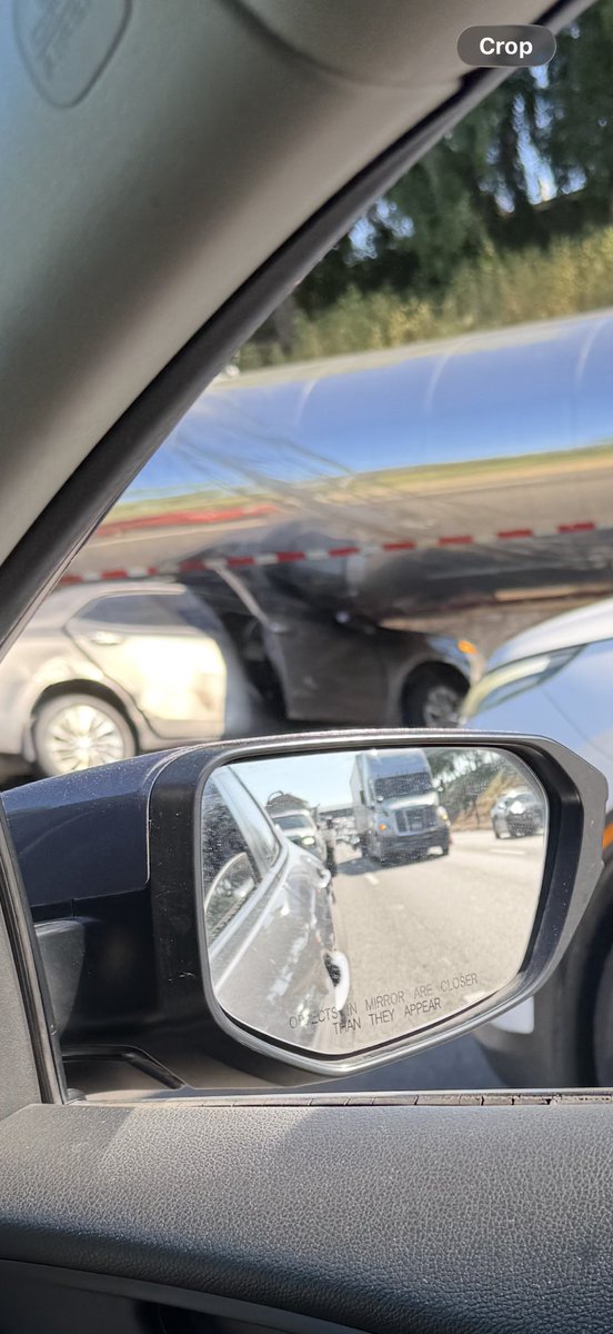 TreeChoppa tweet media