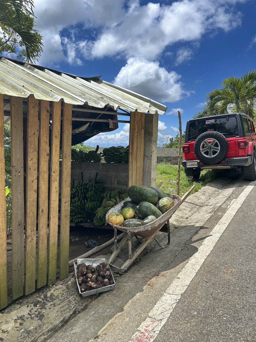 José E. Devárez tweet media