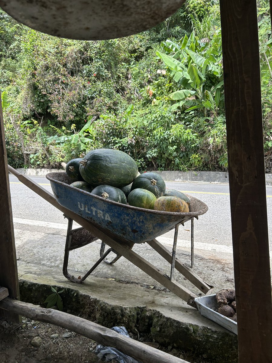 José E. Devárez tweet media