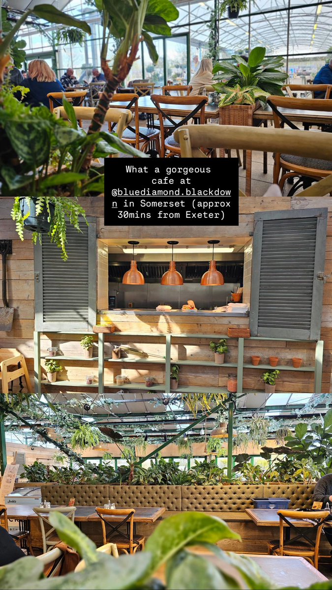 Dining Devon tweet media