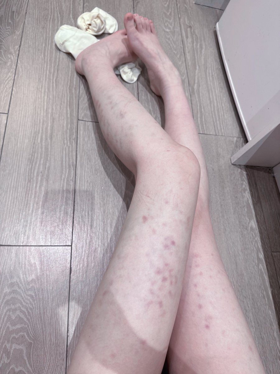 犬の会会长 tweet media