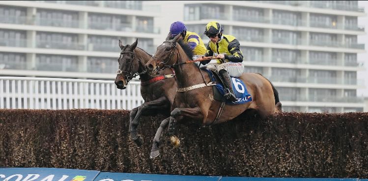 SurreyRacing's tweet photo. Surrey Quest has been a special horse for us,  @sevenbarrows and @tobylawesracing - today he had his last race under rules. His name is imprinted on the Mandarin Trophy, who will forget that Scottish National ! He will start a new chapter and a loving life outside of racing. 💛💙 https://t.co/2yjcIEQA5S