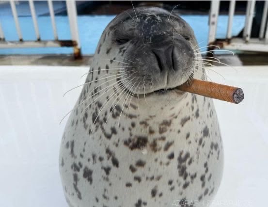 so friggggggin tuff..