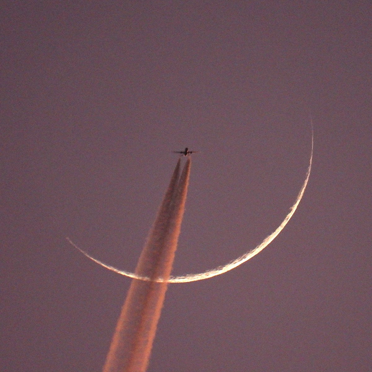 Epiphany tweet media