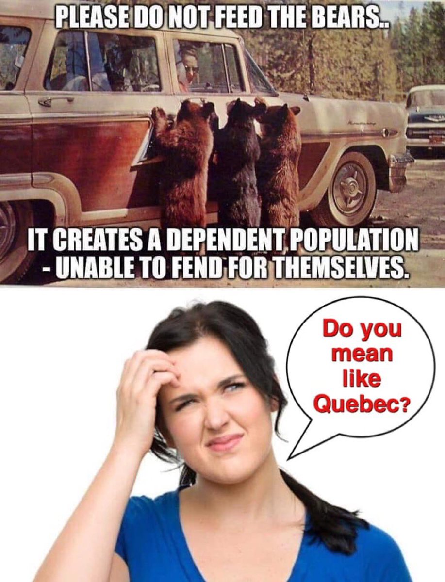 SaskRiderGal🇨🇦 tweet media