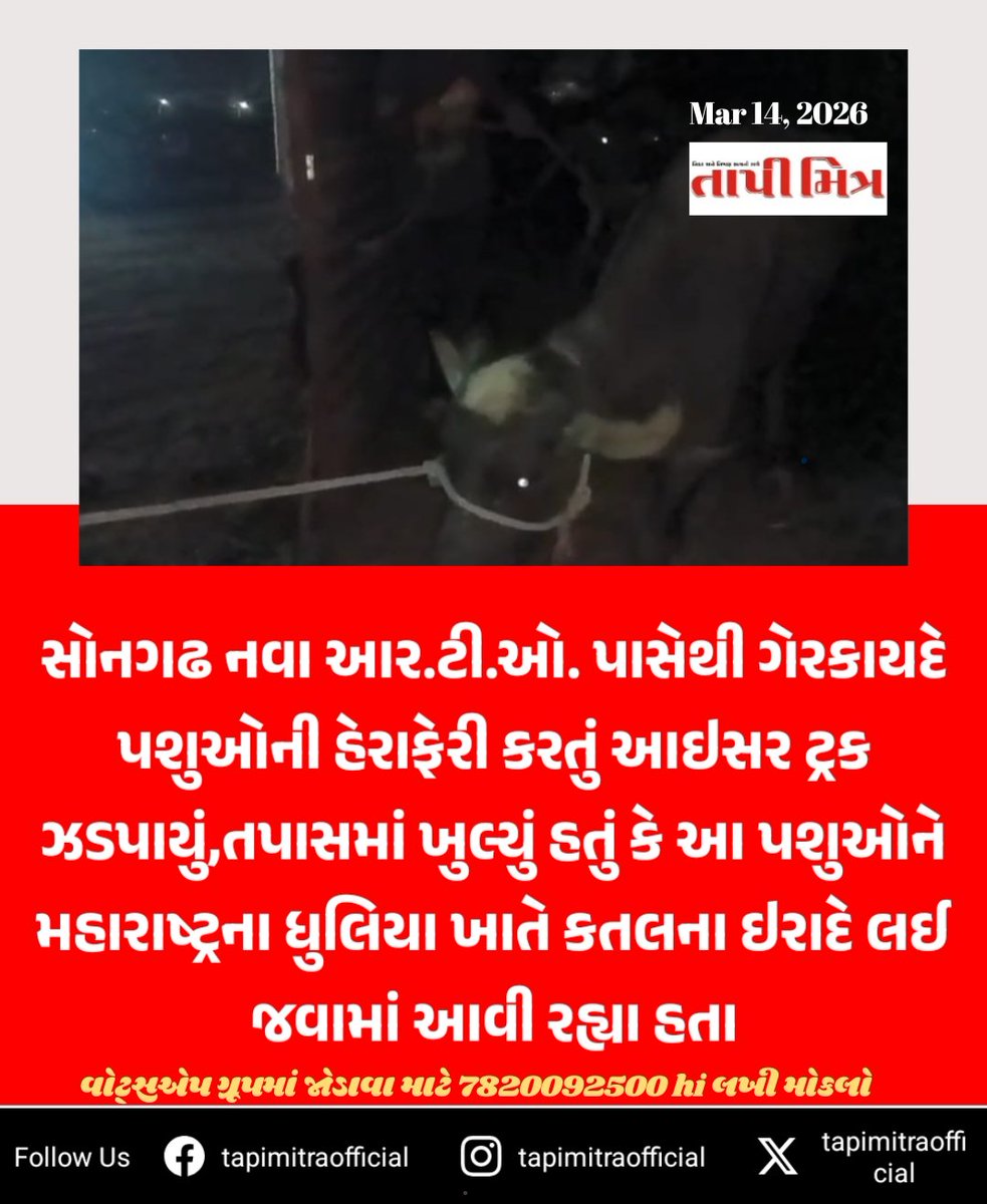 tapimitraofficial tweet media