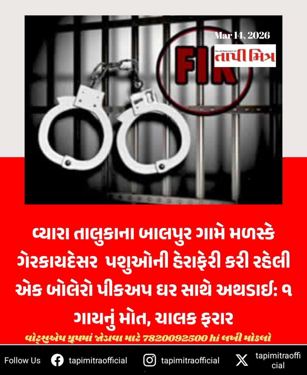 tapimitraofficial tweet media