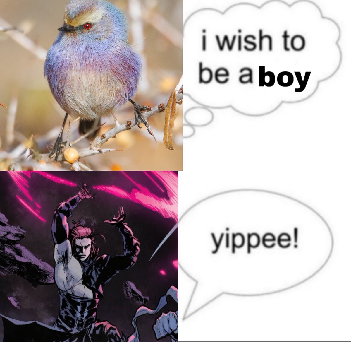 gambit’s lawyer tweet media