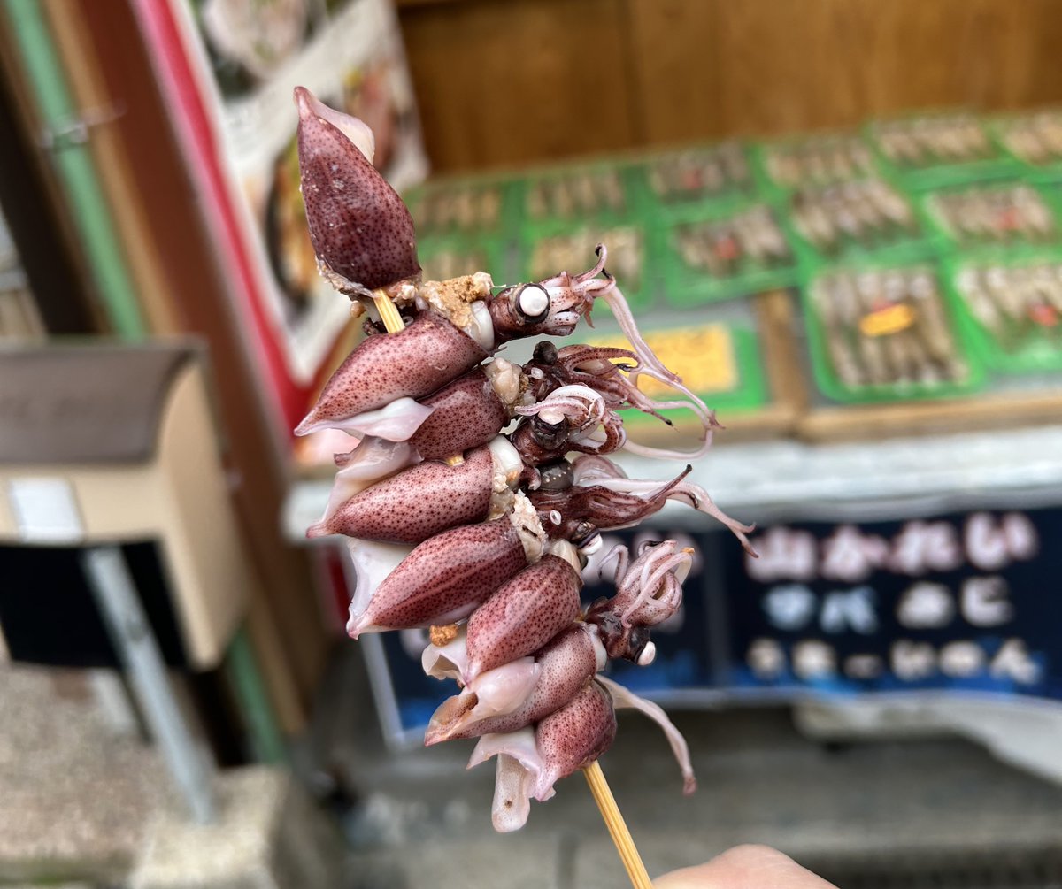 🦑
🦑
🦑
🦑
🦑
🦑
🦑
🦑
  I