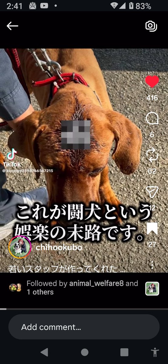 動物虐待を許さない😿🤬 tweet media