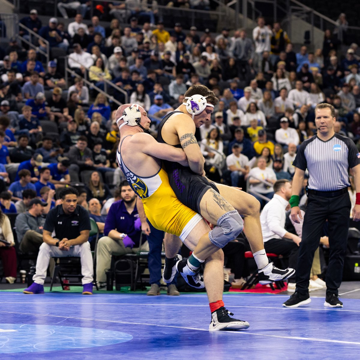 Augustana Vikings tweet media