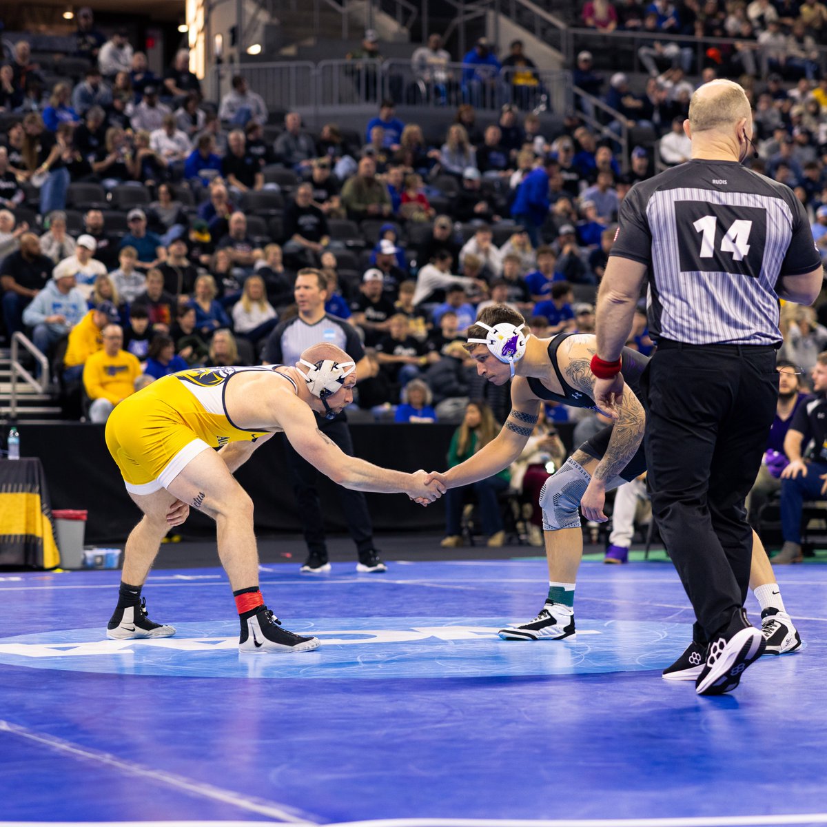 Augustana Vikings tweet media