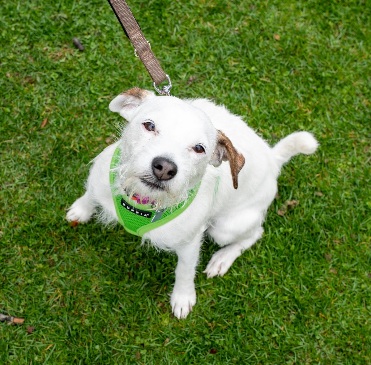 Treefort Music Fest tweet media