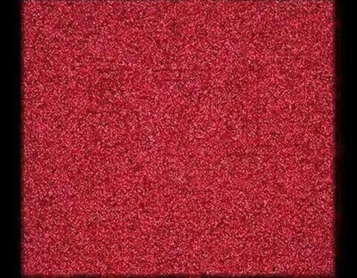 (FAN) Elon musk fanatic tweet media