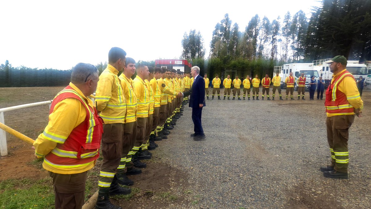 CONAF Biobío tweet media