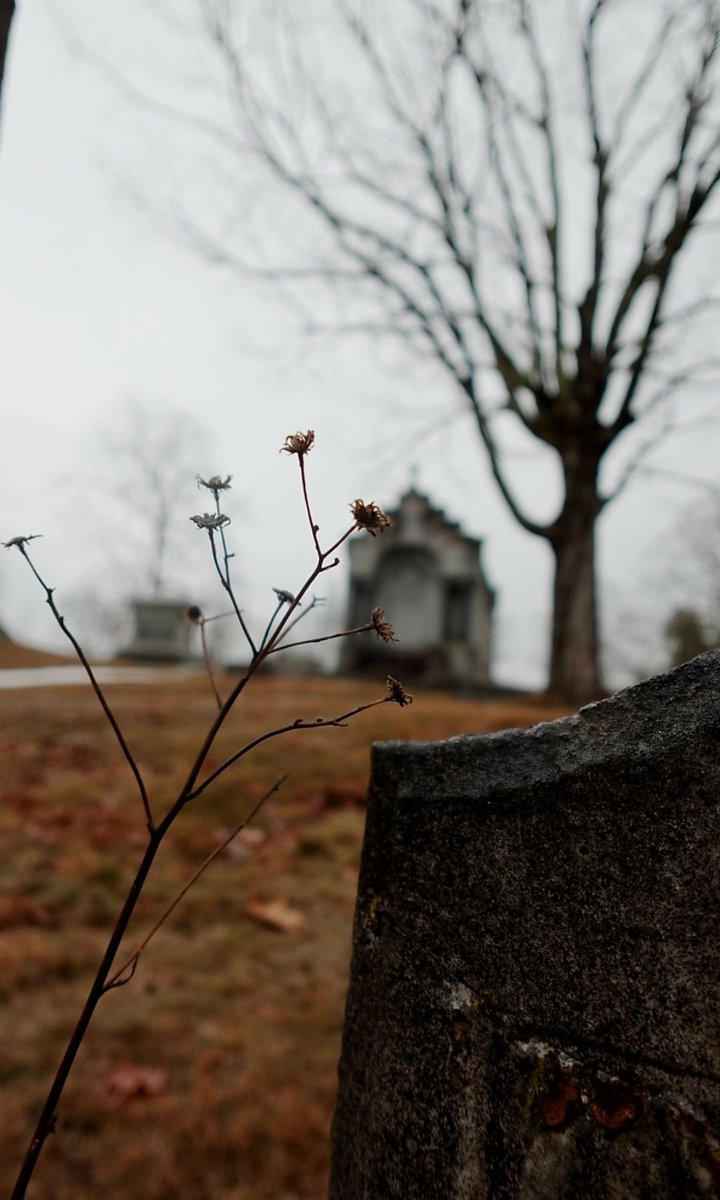 Gothic Barbie tweet media