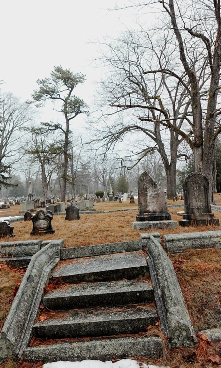 Gothic Barbie tweet media