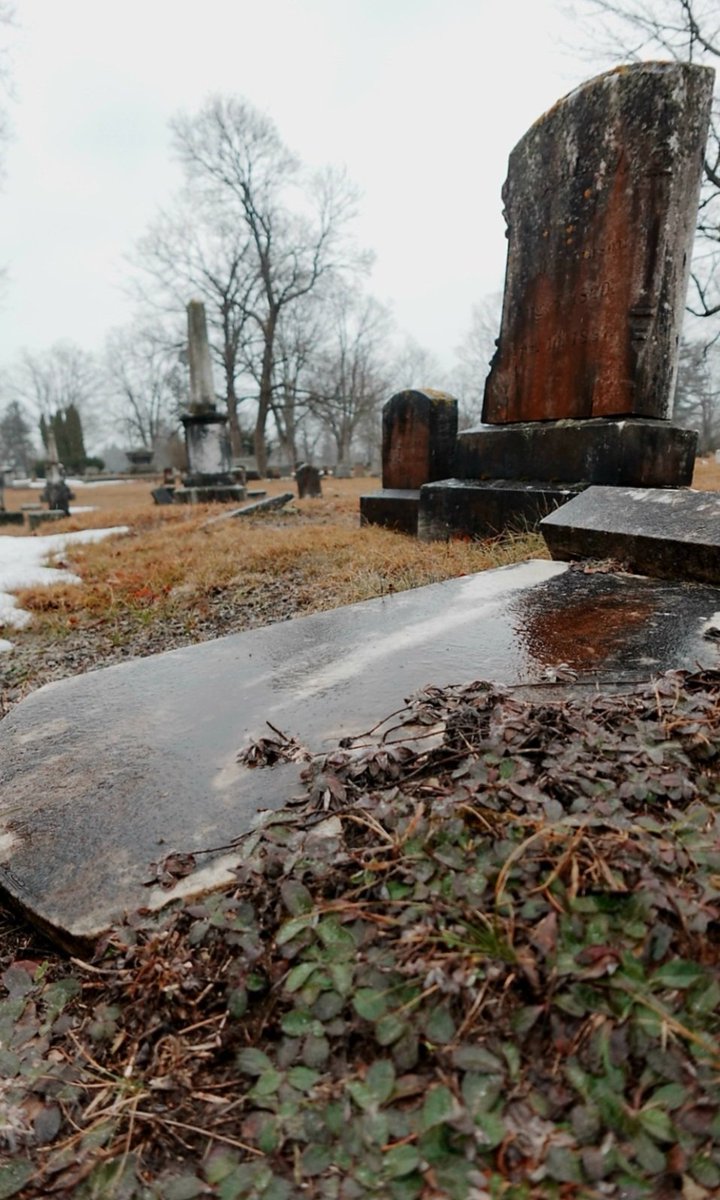 Gothic Barbie tweet media