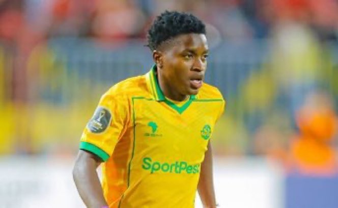 MALENGOO tweet media