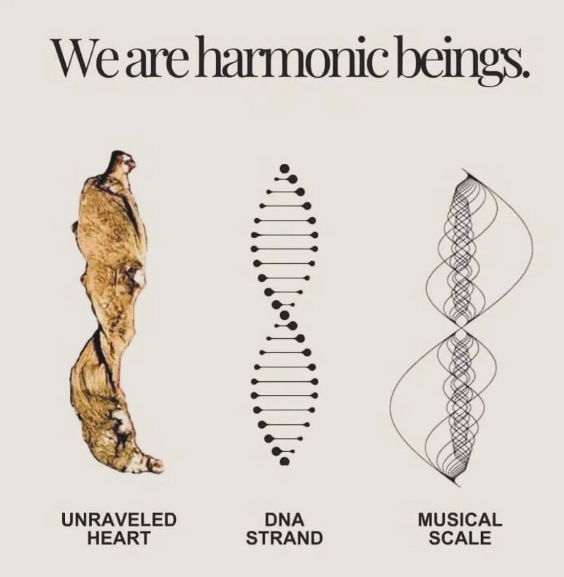 occultbot (@0ccultbot) on Twitter photo 